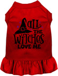 Load image into Gallery viewer, All the Witches Love Me Halloween Pet Dress