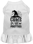 Load image into Gallery viewer, Come In My Pretties Witch Halloween Pet Dress
