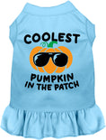 Load image into Gallery viewer, Coolest Pumpkin Pet Dress