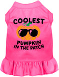 Load image into Gallery viewer, Coolest Pumpkin Pet Dress