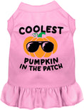 Load image into Gallery viewer, Coolest Pumpkin Pet Dress