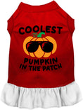 Load image into Gallery viewer, Coolest Pumpkin Pet Dress