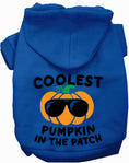 Load image into Gallery viewer, Coolest Pumpkin Halloween Pet Hoodie