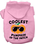 Load image into Gallery viewer, Coolest Pumpkin Halloween Pet Hoodie
