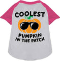 Load image into Gallery viewer, Coolest Pumpkin Pet Raglan Shirt
