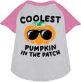 Load image into Gallery viewer, Coolest Pumpkin Pet Raglan Shirt