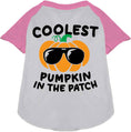 Load image into Gallery viewer, Coolest Pumpkin Pet Raglan Shirt