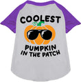 Load image into Gallery viewer, Coolest Pumpkin Pet Raglan Shirt