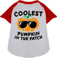 Load image into Gallery viewer, Coolest Pumpkin Pet Raglan Shirt