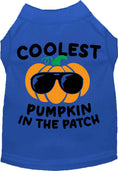 Load image into Gallery viewer, Coolest Pumpkin Pet Shirt