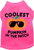 Load image into Gallery viewer, Coolest Pumpkin Pet Shirt