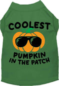 Load image into Gallery viewer, Coolest Pumpkin Pet Shirt