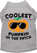 Load image into Gallery viewer, Coolest Pumpkin Pet Shirt