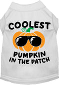 Load image into Gallery viewer, Coolest Pumpkin Pet Shirt