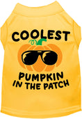 Load image into Gallery viewer, Coolest Pumpkin Pet Shirt