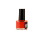 Disco Paw Orange Non-toxic Nail Polish by Dog Fashion Spa