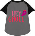 Load image into Gallery viewer, Hey Ghoul Pet Raglan Shirt