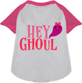 Load image into Gallery viewer, Hey Ghoul Pet Raglan Shirt