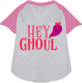 Load image into Gallery viewer, Hey Ghoul Pet Raglan Shirt