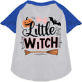 Load image into Gallery viewer, Little Witch Pet Raglan Shirt