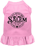 Load image into Gallery viewer, Salem Witches Union Pet Dress