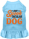 Load image into Gallery viewer, One Spooktacular Dog Pet Dress