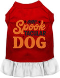 Load image into Gallery viewer, One Spooktacular Dog Pet Dress