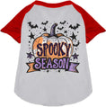 Load image into Gallery viewer, Batty Spooky Season Pet Raglan Shirt