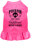 Load image into Gallery viewer, Poison Bottle Costume Pet Dress