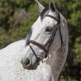 Load image into Gallery viewer, ExionPro Designer Stitched Mono Crown Piece Snaffle Bridle With Rubber Reins - Southlake Paws