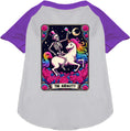 Load image into Gallery viewer, The Audacity! Pet Raglan Shirt