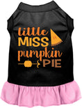 Load image into Gallery viewer, Little Miss Pumpkin Pie Pet Dress