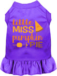Load image into Gallery viewer, Little Miss Pumpkin Pie Pet Dress
