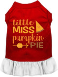 Load image into Gallery viewer, Little Miss Pumpkin Pie Pet Dress