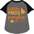 Load image into Gallery viewer, Little Miss Pumpkin Pie Pet Raglan Shirt