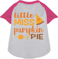 Load image into Gallery viewer, Little Miss Pumpkin Pie Pet Raglan Shirt