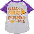 Load image into Gallery viewer, Little Miss Pumpkin Pie Pet Raglan Shirt