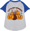Load image into Gallery viewer, Get Spooky Pet Raglan Shirt