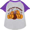 Load image into Gallery viewer, Get Spooky Pet Raglan Shirt