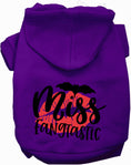 Load image into Gallery viewer, Miss Fangtastic Halloween Pet Hoodie