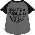 Load image into Gallery viewer, Pawsitively Happy Halloween Pet Raglan Shirt