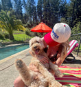 Load image into Gallery viewer, Puppies Make Me Happy Red, White & Blue | 3D Puff Snapback Hat | Gift for Dog Owner