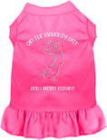 Load image into Gallery viewer, Kitty on the Naughty List Pet Dress