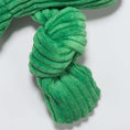 Load image into Gallery viewer, Fergie Frog Knottie® Plush Dog Toy - image 6