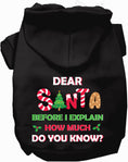 Load image into Gallery viewer, Santa, How Much Do You Know? Christmas Pet Hoodie