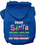 Load image into Gallery viewer, Santa, How Much Do You Know? Christmas Pet Hoodie