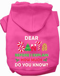 Load image into Gallery viewer, Santa, How Much Do You Know? Christmas Pet Hoodie