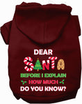 Load image into Gallery viewer, Santa, How Much Do You Know? Christmas Pet Hoodie