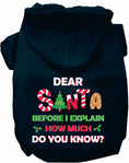 Load image into Gallery viewer, Santa, How Much Do You Know? Christmas Pet Hoodie