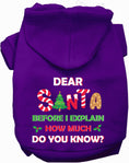 Load image into Gallery viewer, Santa, How Much Do You Know? Christmas Pet Hoodie